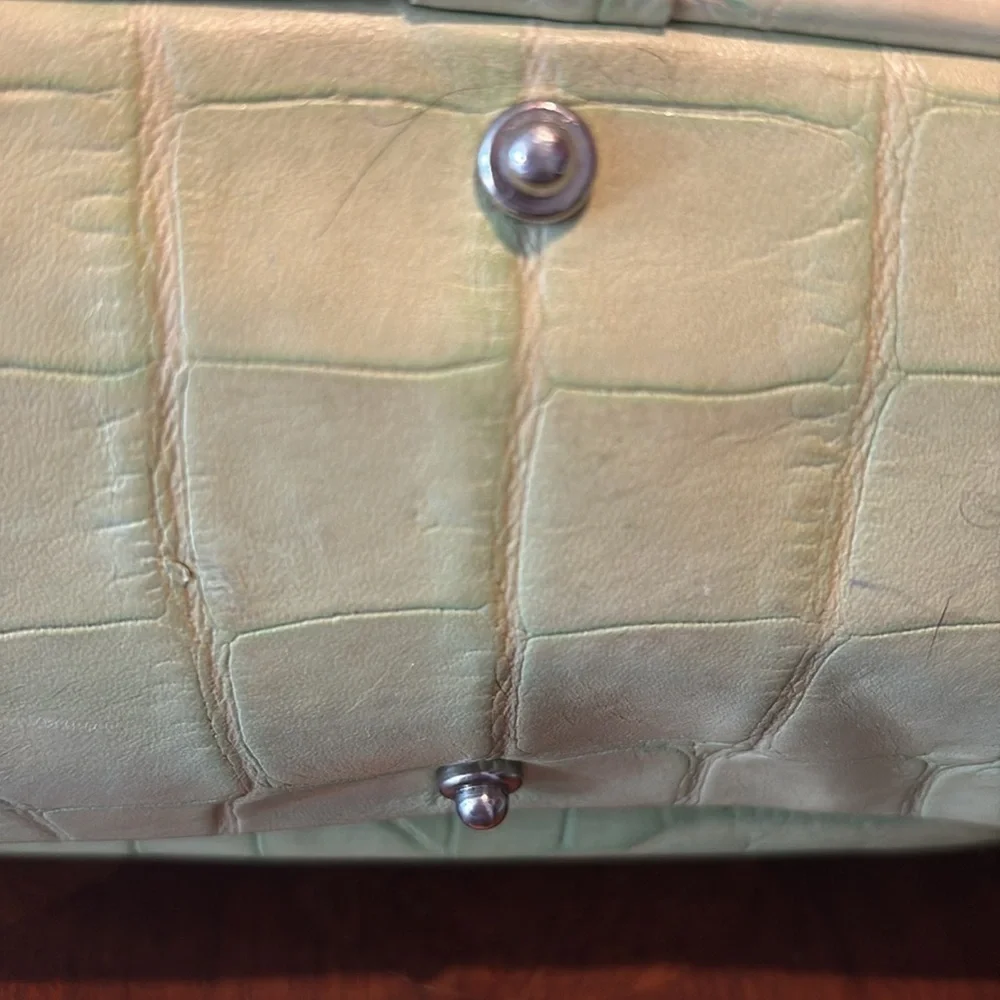 Dooney & Bourke  Vintage  alligator Satchel  Leather  Lt. Green  Front pocket